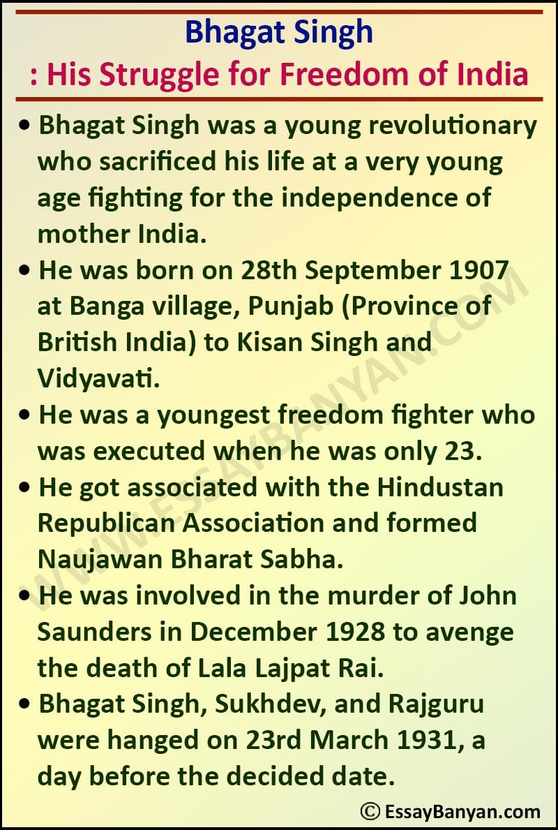 essay on my favourite national hero bhagat singh