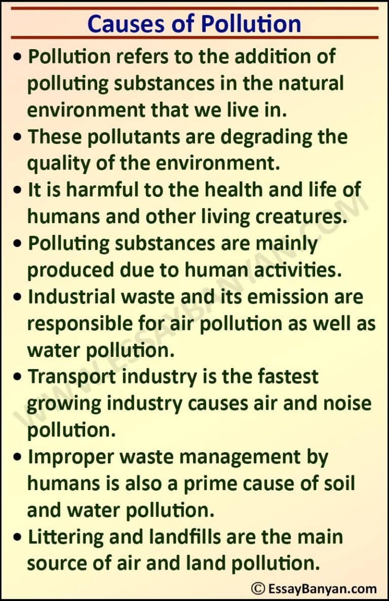 pollution and its types essay
