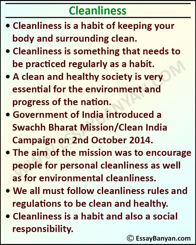 essay on cleanliness in language