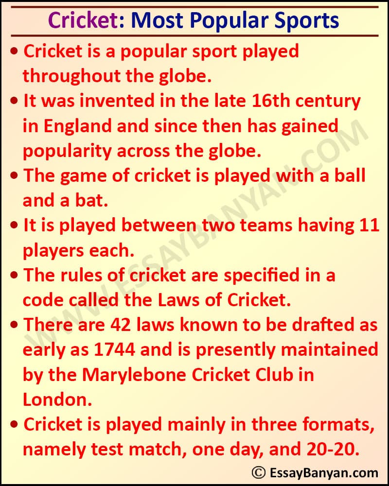 Cricket Essay