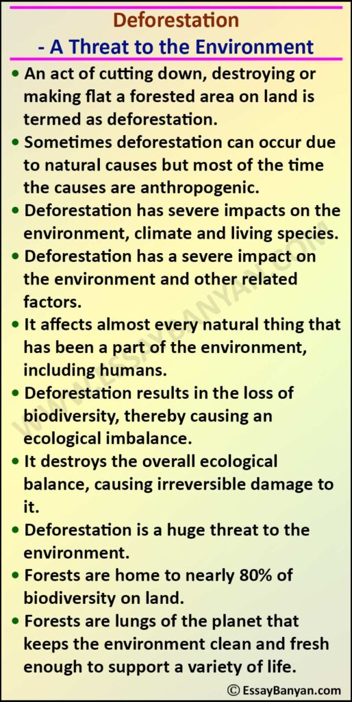 argumentative essay for deforestation