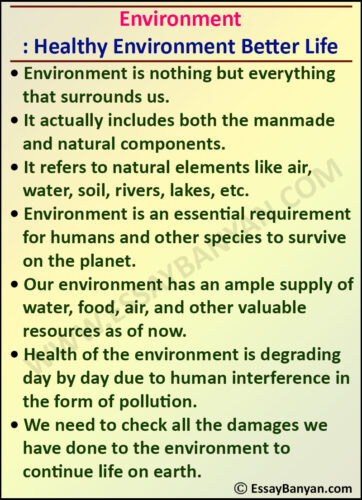 our environment is our responsibility essay