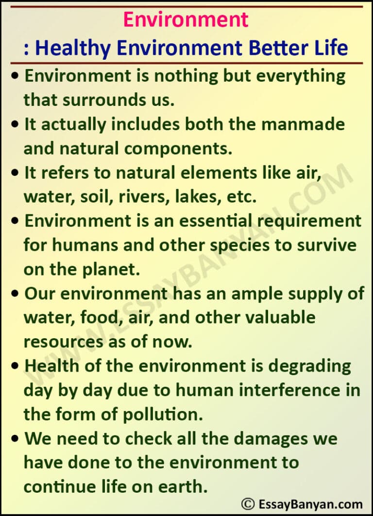 write an essay on the importance of environment