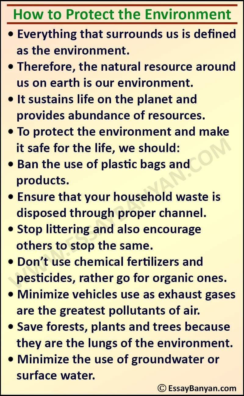 Essay on How to Protect the Environment