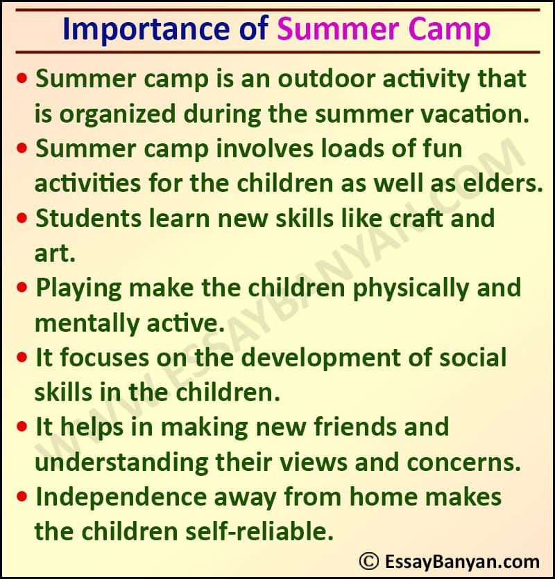 an essay about my summer camp