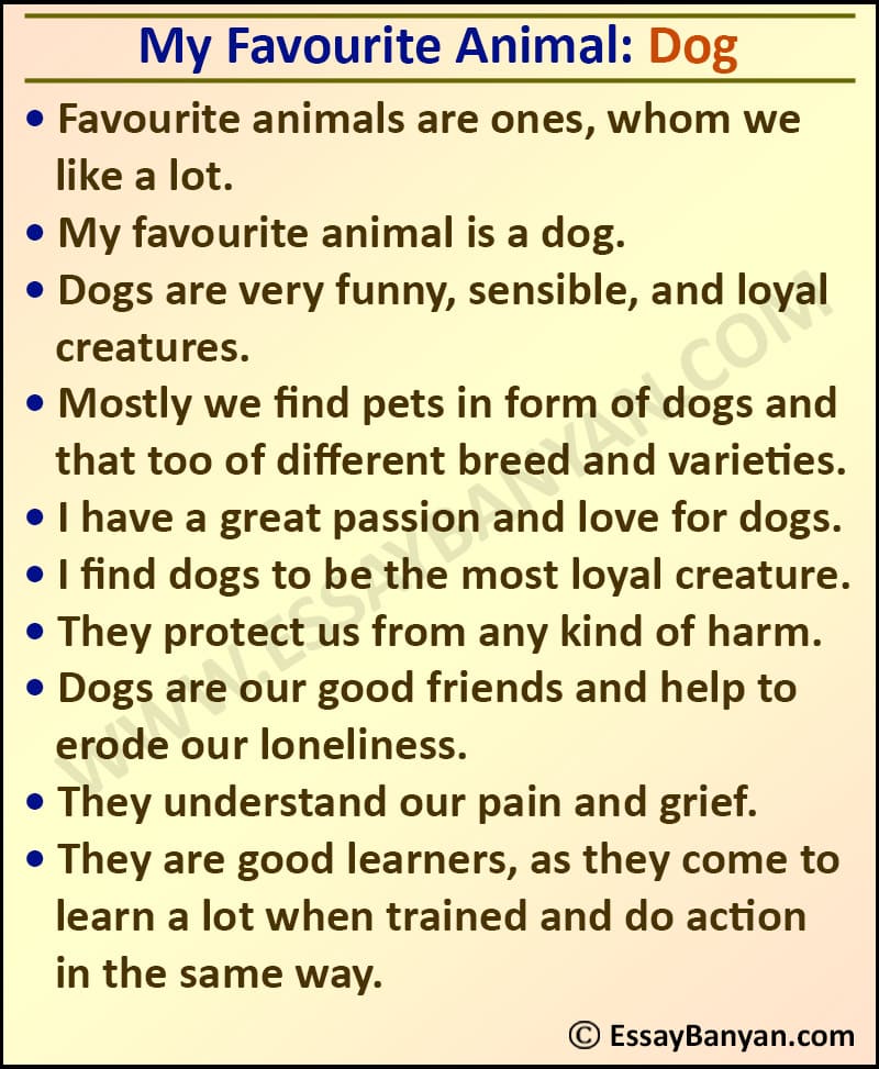 my favourite animal is a dog essay