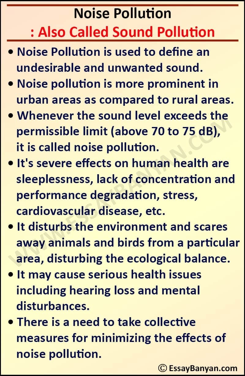 write a essay on noise pollution