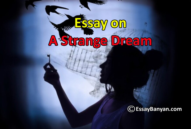 essay about a strange dream