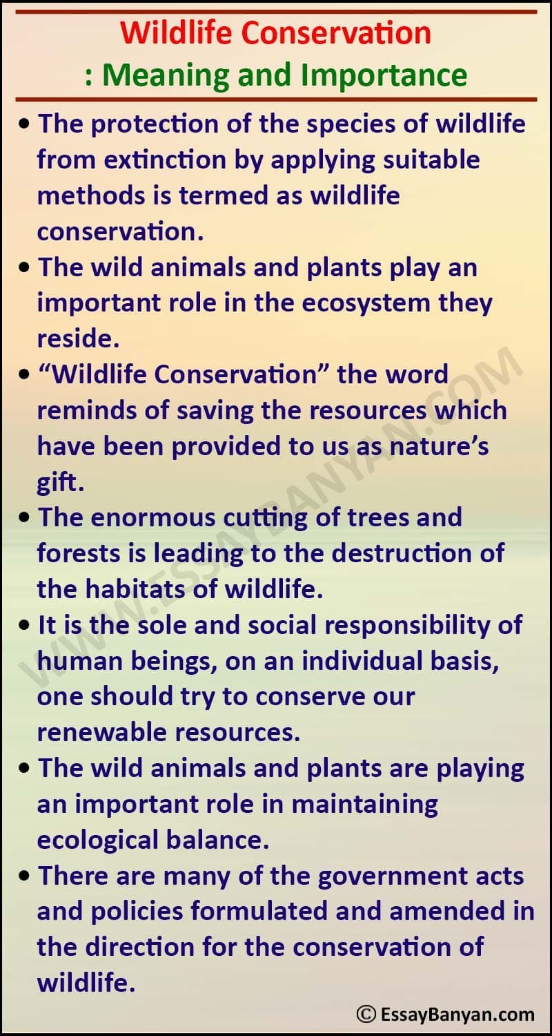 wildlife conservation essay in hindi 800 words