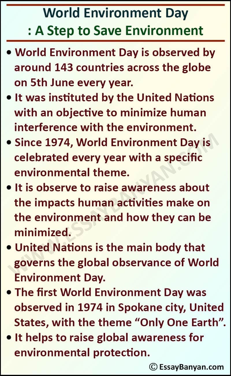 essay on environment day in english