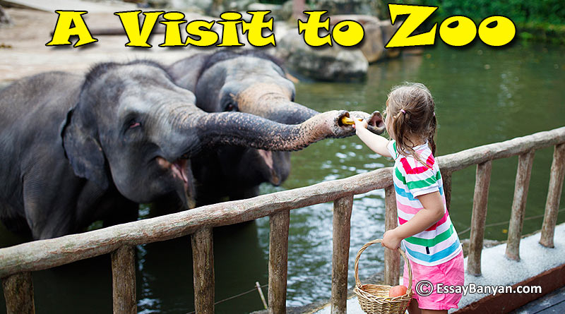 a visit to a zoo essay 50 words