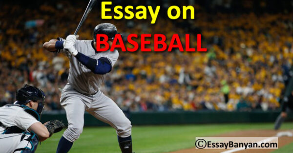 essay topics for baseball