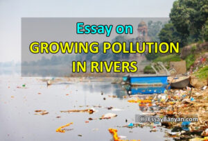 short essay on river pollution