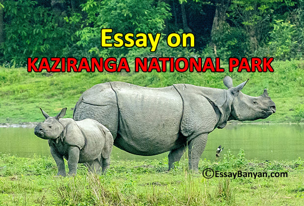 kaziranga national park essay 150 words