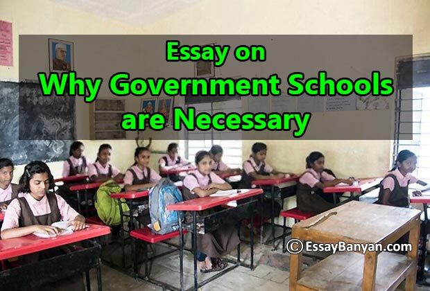 essay about government school